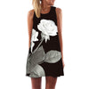 Image of BHflutter Women Dress