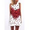 Image of BHflutter Women Dress