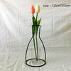 Image of Plants Shelving Flower Vase