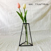 Image of Plants Shelving Flower Vase