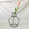 Image of Plants Shelving Flower Vase
