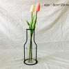 Image of Plants Shelving Flower Vase