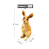 Image of Simulation mini Rabbit Animal model