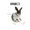 Image of Simulation mini Rabbit Animal model