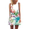 Image of BHflutter Women Dress