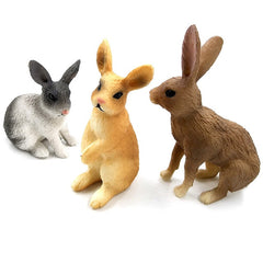 Simulation mini Rabbit Animal model