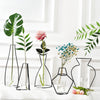 Image of Plants Shelving Flower Vase