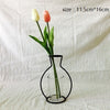 Image of Plants Shelving Flower Vase