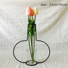 Image of Plants Shelving Flower Vase