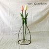 Image of Plants Shelving Flower Vase