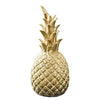 Image of Golden Pineapple Creative Wine Cabinet