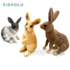 Image of Simulation mini Rabbit Animal model