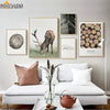 Image of Wood Tree Ring Canvas Print Painting