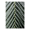 Image of Wood Tree Ring Canvas Print Painting