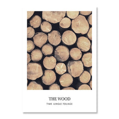 Wood Tree Ring Canvas Print Painting