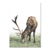 Image of Wood Tree Ring Canvas Print Painting